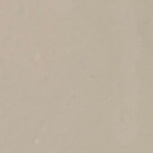 Susan Graver floral button down